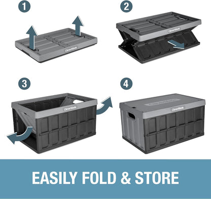 Collapsible Storage Bins with Lids, 46L 3 Pack, 75 Lb, Stone
